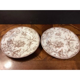 222 Fifth ADELAIDE BROWN Porcelain Salad Plates Brand (Set of 2) 8.5”