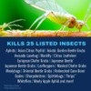 BioAdvanced Fruit, Citrus & Vegetable Insect Control for Edible Gardening,