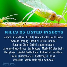 BioAdvanced Fruit, Citrus & Vegetable Insect Control for Edible Gardening, 32 oz