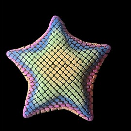 Flexi Articulated Starfish- Fun for all ages! -Super Flexible- Variety of Colors! action figures toy unique fidget posing toys - Color: Rainbow
