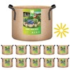 iPower 10-Pack 10 Gallon Plant Bags Heavy Duty Thickened Nonwoven