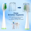 Replacement Brush Heads for Smile Bright Platinum Sonic Electric Toothbrush,