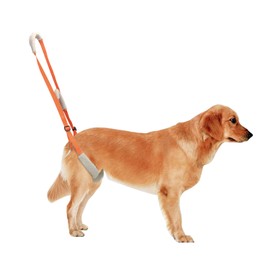 Liroyal Medium Dog Walking Aid Harness, Breathable, Nursing Dogs, Large Dogs, Lead Harness, For Elderly Dogs with Weakened Legs, Joints, Support, Handles, Injuries, Safety Belt, Orange
