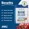 Applied Nutrition Marine Collagen Powder - Hydrolysed Collagen Protein, Healthy