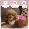 SSONGBYPET Traditional Korean Hanbok for Dogs - Elegant & Timeless