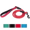 Aepeasti Heavy Duty Dog Leash - Durable & Reliable Pet