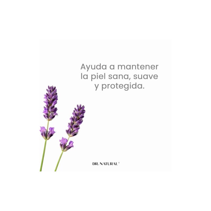 Castile Body Lotion - Lavender by Dr. Natural for Unisex