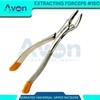 Dental Extracting Extraction Serrated Forceps #150, for Maxillary incisors, Canines,