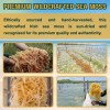Sundried Sea Moss Musgo Wildcrafted Golden Raw Irish Sea Moss