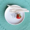 Galashield Disposable Wooden Forks Bulk 1600 Piece 6.3" Length Eco