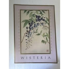Portal Publications Vintage 1984 Poster Shodo Kawarazaki Wisteria 20x28 Litho USA