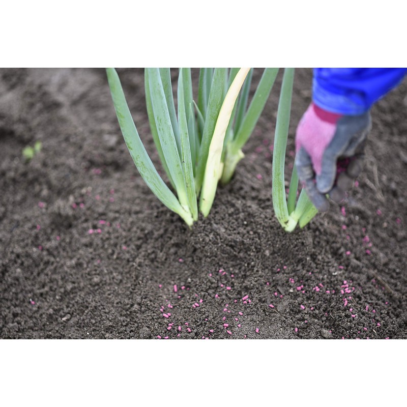 MC Green Insecticide Necilia Ace K, 21.3 oz (600 g)