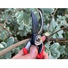 Corona BP 7200 Forged Pro Cut Bypass Hand Pruner, 1-Inch,