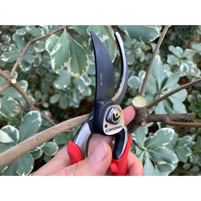 Corona BP 7200 Forged Pro Cut Bypass Hand Pruner, 1-Inch,