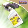 Bonide Repels-All Animal Repellent, 32 oz Ready-to-Use Spray, Outdoor Garden