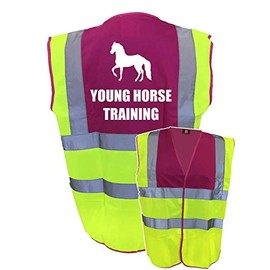 Equestrian Young Horse Training Please Hi Viz Vis Vest Horse Riding Reflective Waistcoat Jacket Road Safety Visibility Yellow/Pink Medium