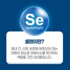 고함량 아연 셀레늄 셀렌 ZINC 셀리늄 아연하루권장량 100% High Concentration