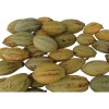 6 Kilos De Cacao Seco Grano Agroecologico Comalcalco Tabasco