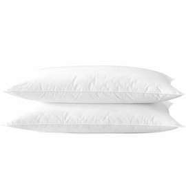Ultra Thin Flat Soft Bed Pillows Queen Size Set of 2 Pack for Sleeping 20"x30", Hypoallergenic Skin Friendly Machine Washable