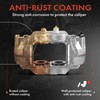 A-Premium Disc Brake Caliper Assembly Compatible with Select Ford Models