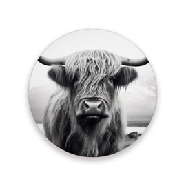 Vibiliyou 4PCS Coasters with Cork Base Desktop Protection Mat Absorbent Drink Coaster Cow Ceramic Stone Coaster for Home,Bar Decor