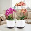 QCQHDU 2 Pack Orchid Pots with Holes for Repotting, Double-Layer