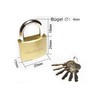 Assorted Padlock Set