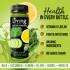 O2 Living Green Vitality Organic Juice Drink - 4oz -