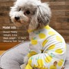 KYEESE Dogs Pajamas Stretchable Lemon Dog Pjs Lightweight 4 Legs