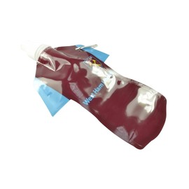 West Ham Water Bottle (One Size) (Maroon/Blue)