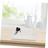 WOONEKY Phone Storage Habit-Breaking Lock Box Emergency Access Tool Lightweight