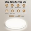 Oraymin LED Bathroom Ceiling Light