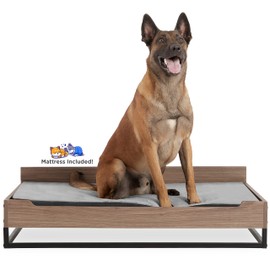 Milo TailZzz Wooden Dog Bed & Couch with Water-Resistant Mattress, Large to Extra Large Elevated Pet Bed with Calming Mattress, Greenguard Gold Certified