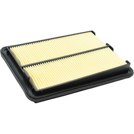 Ecogard XA10423 Filtro de Aire de Motor Premium para Renault Koleos 2018-2024, Nissan Rogue 2014-2020, Rogue Sport 2017-2022