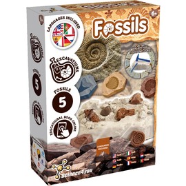 Science4you Fossil Dig Kit - Fossils and Paleontology with This Excavation Kit, Discover the Incredible Fossils, A Paleontology Gift for Girls and Boys 6 7 8 9+