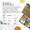 Sippingly Green Tea Sampler – 40 Assorted Green Tea Bags