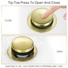 Bathtub Drain Tip-Toe Tub Trim Set with Two-Hole Overflow Faceplate,