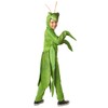 Seasons Child Praying Mantis Costume (M(8-10))