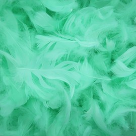 400 Pieces Light Green Feathers, Small Natural Craft Feathers Bulk Assorted Color 5-8cm Goose Feathers for Gift Filling, Cat Toy Making, Wedding Party Clothing Decorations, Home DIY Crafts Supplies