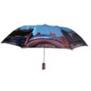 Chicago Umbrella compact