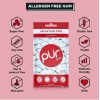 PUR Xylitol Chewing Gum 6 Flavor Variety (55 Pieces, 6
