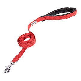 GOGO Pet Products 1-Inch Wide Comfy Nylon Dog Leash, 4-Feet Long, Red