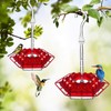 COWANIEE 2 Pcs Bird Feeders Hanging, 20 * 30cm Bird