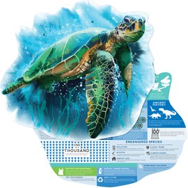 Paper House Productions InfoPuzzle Double Sided All About Sea Turtles Die Cut, Shaped Learning Jigsaw Puzzle
