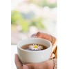 English Tea Shop Perfect Peppermint, Fairtrade & Organic Premium Whole