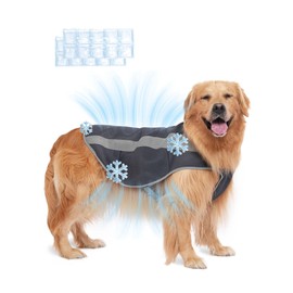 Relexit Dog Cooling Vest Harness with Large Gel Ice Packs Adjustable Cooling Harness for Dogs Outdoor Activity in Hot Weather Grey M