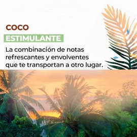 Yves Rocher - Kit De Cremas Corporales Aroma Coco, Hidrata y Perfuma, Incluye 2 cremas de 390ml c/u