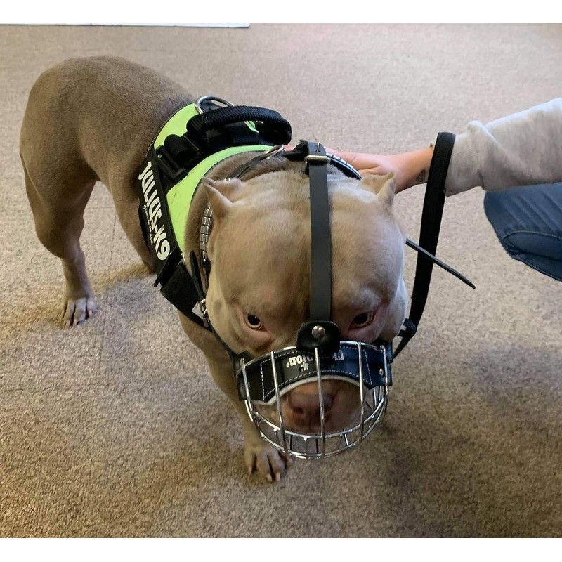 Strong Metal Wire Basket Dog Muzzle for American Bully (BA,