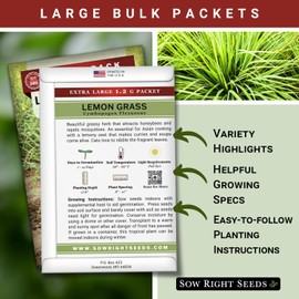 Sow Right Seeds - Lemon Grass Seed for Planting - 1600 Seeds, 1.2 Grams, Non-GMO Heirloom Bulk Jumbo Pack with Instructions to Plant and Grow an Herb Garden - Grow Loads of This Culinary Herb