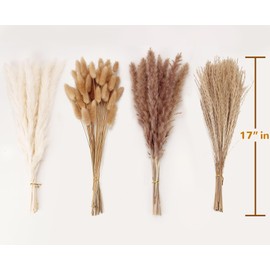 Dried Pampas Grass Decor, 100 Stems Pampas Grass Contains Bunny Tails Dried Flowers, Reed Grass Bouquet for Wedding Boho Flowers Home Table Decor, Rustic Farmhouse Party (17", White and Brown)
